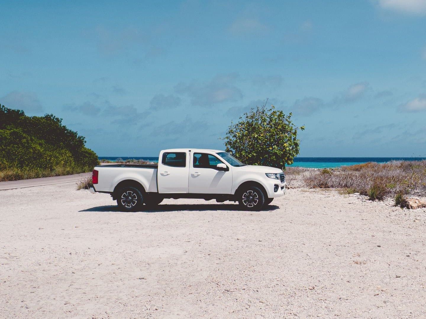 A white dual cab ute parked on a coastal road beside the ocean on a sunny day