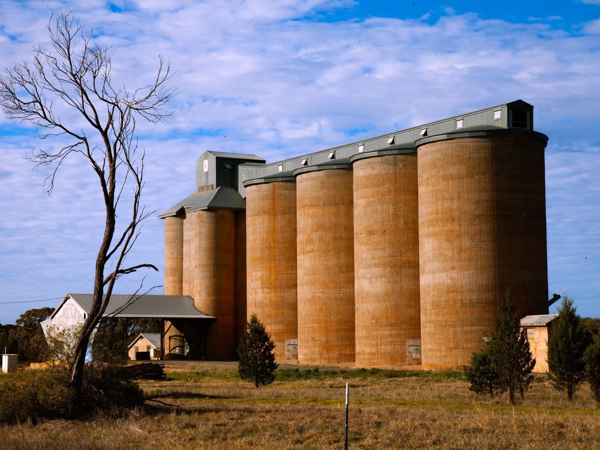 Concrete grain silos beside a paddock at Lake Cargelligo, New South Wales