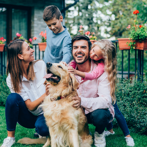 Home-loan
