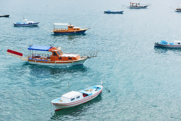boats